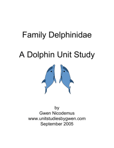 Family Delphinidae A Dolphin Unit Study by Gwen Nicodemus