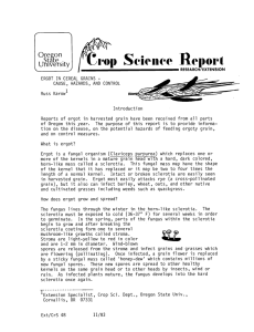 Science Report rop Oregon University