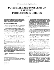 POTENTIALS AND PROBLEMS OF PRODUCTION IN OREGON RAPESEED