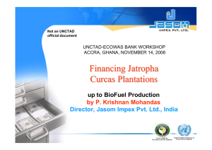 Financing Jatropha Curcas Plantations