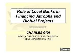 Role of Local Banks in Financing Jatropha and Biofuel Projects CHARLES GIDI