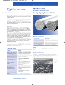 Membralox IC Ceramic Membranes For High Capacity Crossflow Filtration