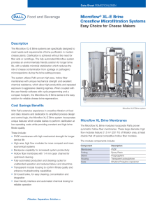 Microflow XL-E Brine Crossflow Microfiltration Systems Easy Choice for Cheese Makers