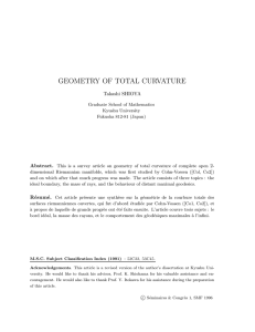 GEOMETRY OF TOTAL CURVATURE Takashi SHIOYA 2 Abstract.