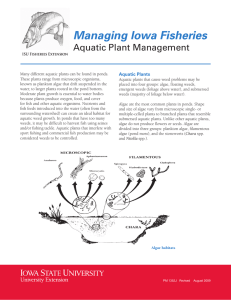 Managing Iowa Fisheries Aquatic Plant Management Aquatic Plants