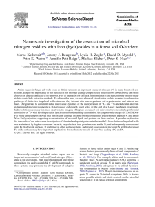 Nano-scale investigation of the association of microbial