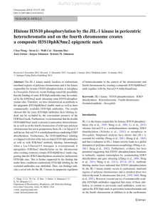 Histone H3S10 phosphorylation by the JIL-1 kinase in pericentric