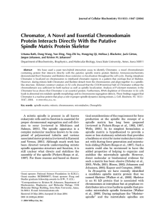 Chromator, A Novel and Essential Chromodomain Spindle Matrix Protein Skeletor