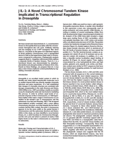 JIL-1: A Novel Chromosomal Tandem Kinase Implicated in Transcriptional Regulation Drosophila