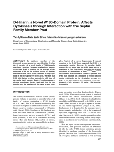 D-Hillarin, a Novel W180-Domain Protein, Affects Family Member Pnut