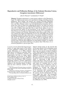 Reproductive and Pollination Biology of the Endemic Hawaiian Cotton,