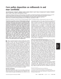 Corn pollen deposition on milkweeds in and near cornfields