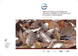 Selective Fishing and Balanced Harvest in Relation to Fisheries and Ecosystem Sustainability