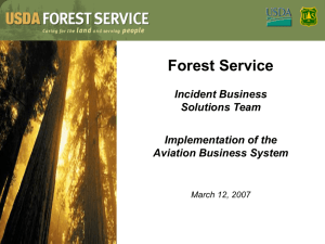 Forest Service Incident Business Solutions Team Implementation of the