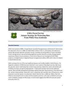 USDA Forest Service Science Strategy for Protecting Bats From White-Nose Syndrome