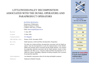 LITTLEWOOD-PALEY DECOMPOSITION ASSOCIATED WITH THE DUNKL OPERATORS AND PARAPRODUCT OPERATORS JJ