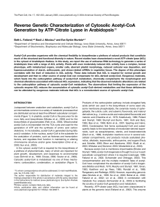 Reverse Genetic Characterization of Cytosolic Acetyl-CoA