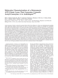 Molecular Characterization of a Heteromeric ATP-Citrate Lyase That Generates Cytosolic