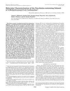 Molecular Characterization of the Non-biotin-containing Subunit of 3-Methylcrotonyl-CoA Carboxylase*