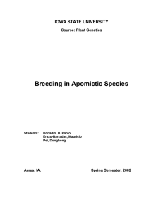 Breeding in Apomictic Species IOWA STATE UNIVERSITY Course: Plant Genetics
