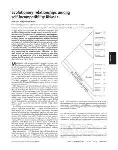 Evolutionary relationships among self-incompatibility RNases Boris Igic and Joshua R. Kohn