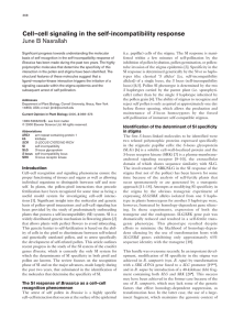 (i.e. papillar) cells of the stigma. The SI response is... fested within a few minutes of self-pollination by the