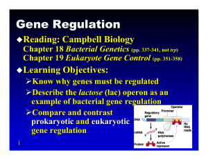 Gene Regulation Reading: Cam p bell Biology