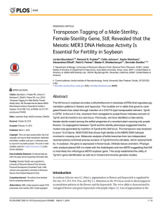 Transposon Tagging of a Male-Sterility, St8, Revealed that the Female-Sterility Gene,