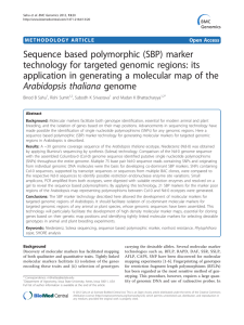 Sequence based polymorphic (SBP) marker technology for targeted genomic regions: its
