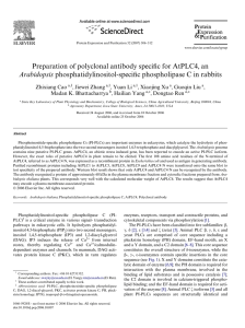 Wc for AtPLC4, an Preparation of polyclonal antibody speci Arabidopsis