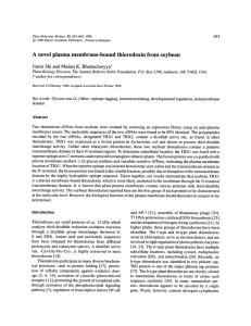 A  novel plasma  membrane-bound  thioredoxin  from ... 653~562, 1996. 653 (~) 1996