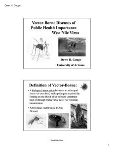 Vector Vector--Borne Diseases of Borne Diseases of Public Health