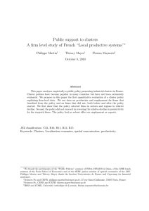 Public support to clusters ∗ Philippe Martin