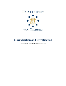 Liberalization and Privatization  Literature Study Applied to Next Generation Access
