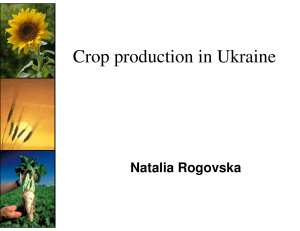 Crop production in Ukraine Natalia Rogovska