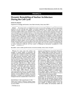 N of Dynamic Remodeling d e a r  Architecture