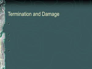 Termination and Damage