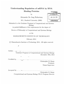 Understanding  Regulation  of  mRNA  by ... Binding  Proteins Alexander  De  Jong  Robertson