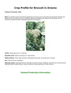 Crop Profile for Broccoli in Arizona