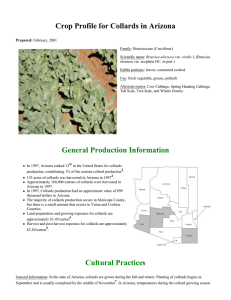 Crop Profile for Collards in Arizona