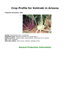 Crop Profile for Kohlrabi in Arizona General Production Information Prepared: November, 2001 Family