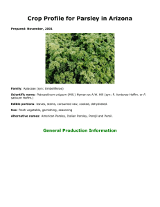 Crop Profile for Parsley in Arizona General Production Information Prepared: November, 2001 Family