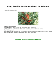 Crop Profile for Swiss chard in Arizona General Production Information Family: