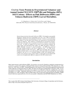 Cry1Ac Toxic Protein in Overwintered Volunteer and Annual Seeded NUCOTN 33B7