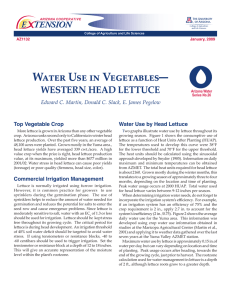 Water Use in Vegetables— WESTERN HEAD LETTUCE E    TENSION