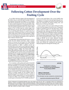 Following Cotton Development Over the Fruiting Cycle Cooperative Extension