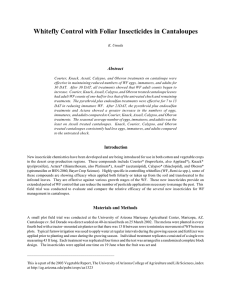 Whitefly Control with Foliar Insecticides in Cantaloupes Abstract