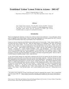Established ‘Lisbon’ Lemon Trials in Arizona – 2001-02  1