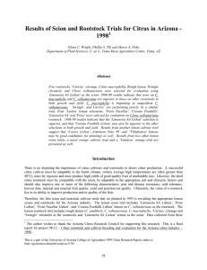 Results of Scion and Rootstock Trials for Citrus in Arizona - 1998 1