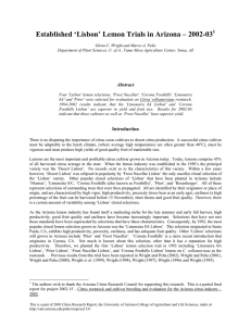 Established ‘Lisbon’ Lemon Trials in Arizona – 2002-03  1